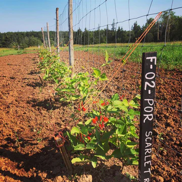 Thank You for Sharing Your Memories